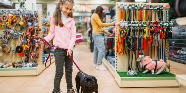 Little girl with puppy in pet shop, friendship. Kid with dog chooses accessories in petshop